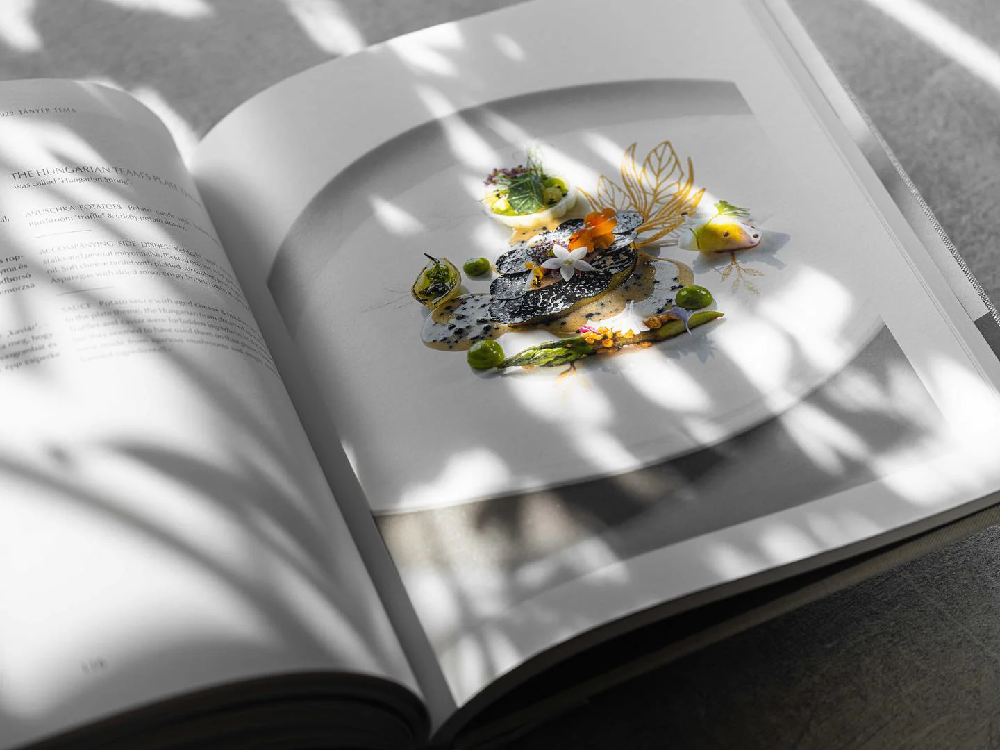Best of Hungary - Hungarian Cookbook - Image 4