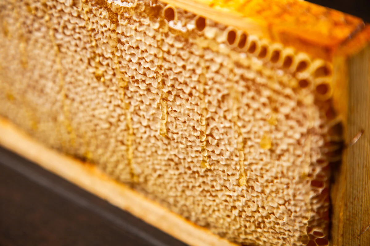 Honeycomb Frame 2400g - Image 3