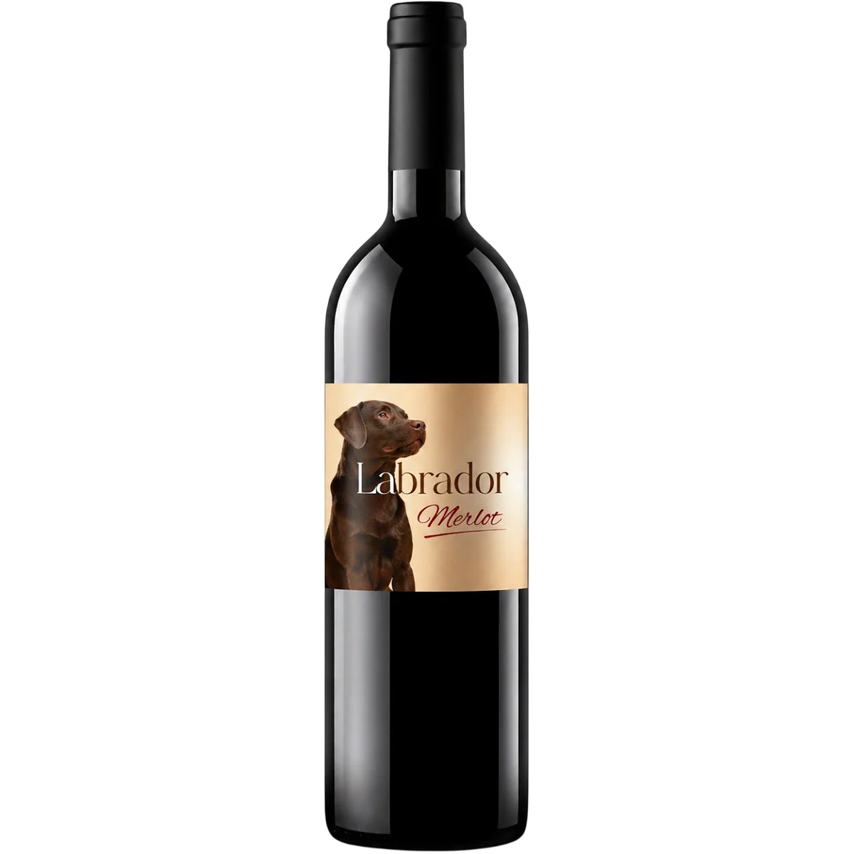 LAJVER Merlot 'Labrador' 2022