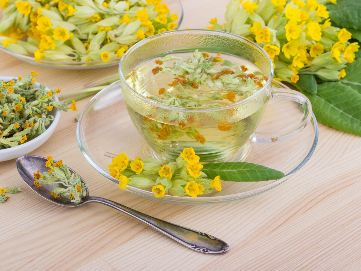 Organic Primrose Tea 20g - Image 3