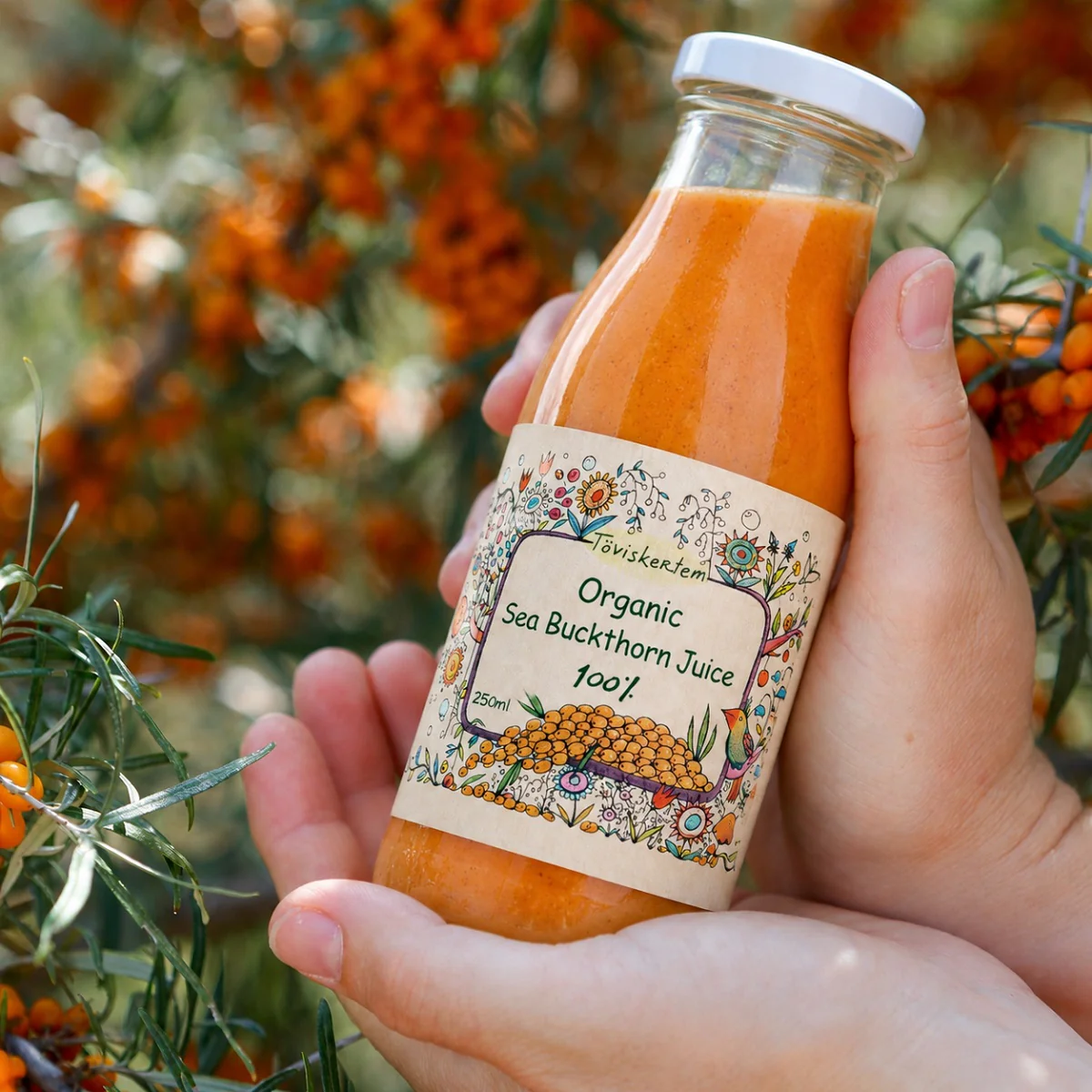 Organic Sea Buckthorn Juice 250ml - Image 5